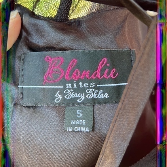 Host Pick 💕▶️Blonde Nite ◀️ Embroidered Illusion Corset - Picture 10 of 17